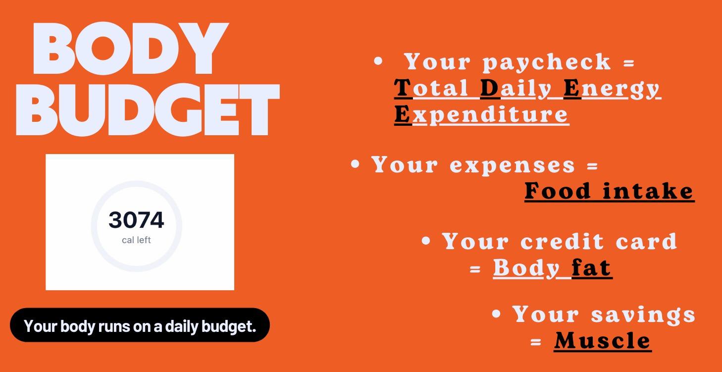 THE BODY BUDGET ANALOGY