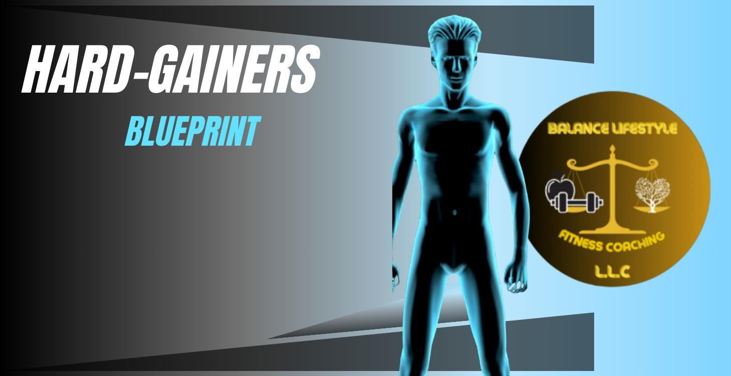 Hardgainer Muscle Blueprint