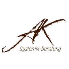 Anja Systemix Beratung