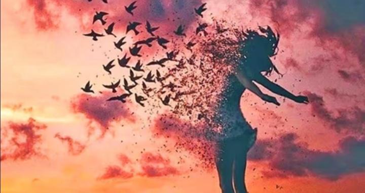 Spirituality rabbit hole