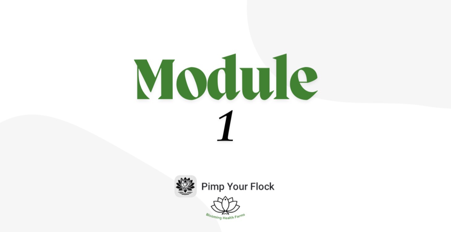 Module 1 - Chickening Foundations