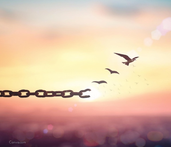 Stefanie Haselwanter