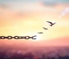 Stefanie Haselwanter