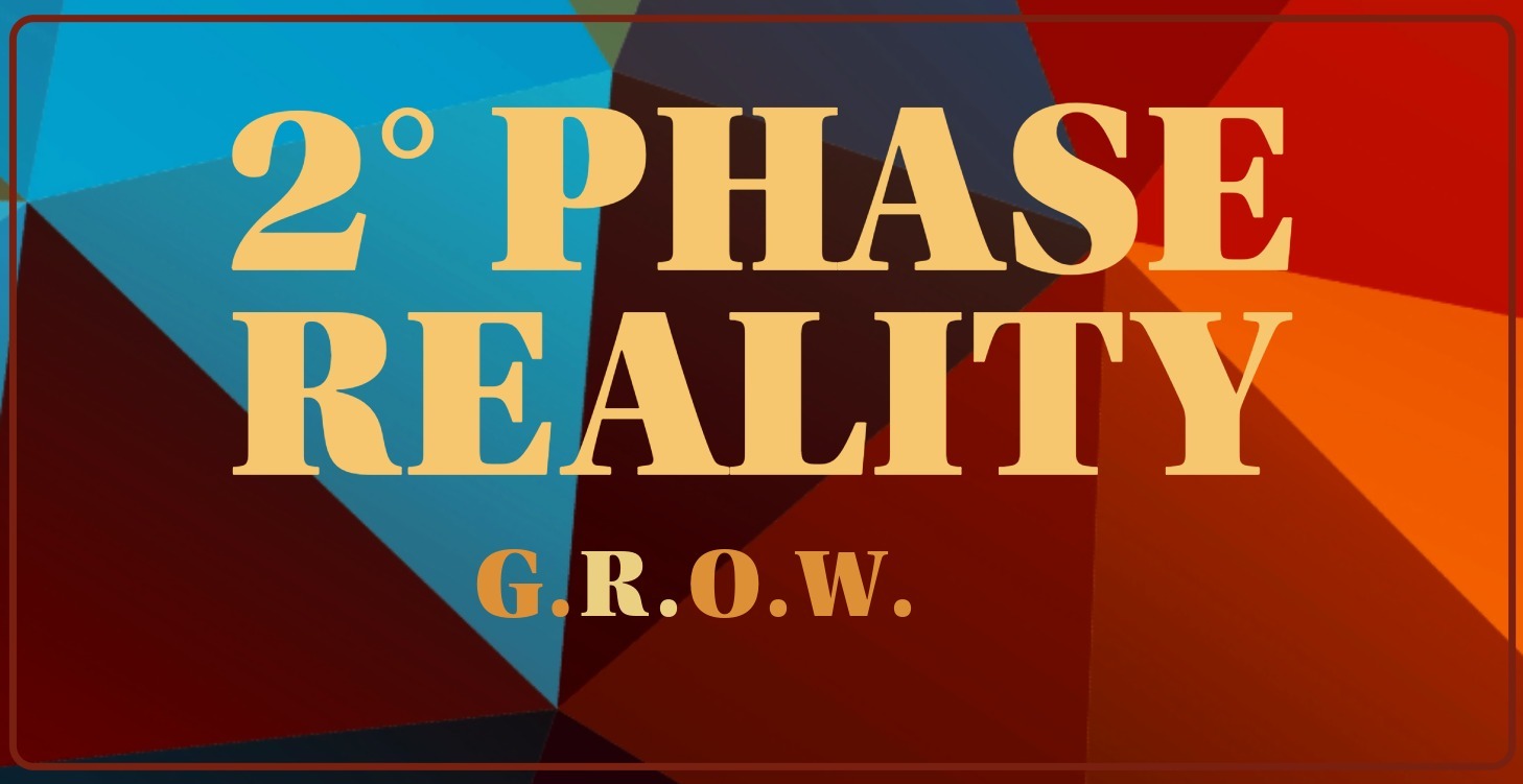 2° Phase: Reality