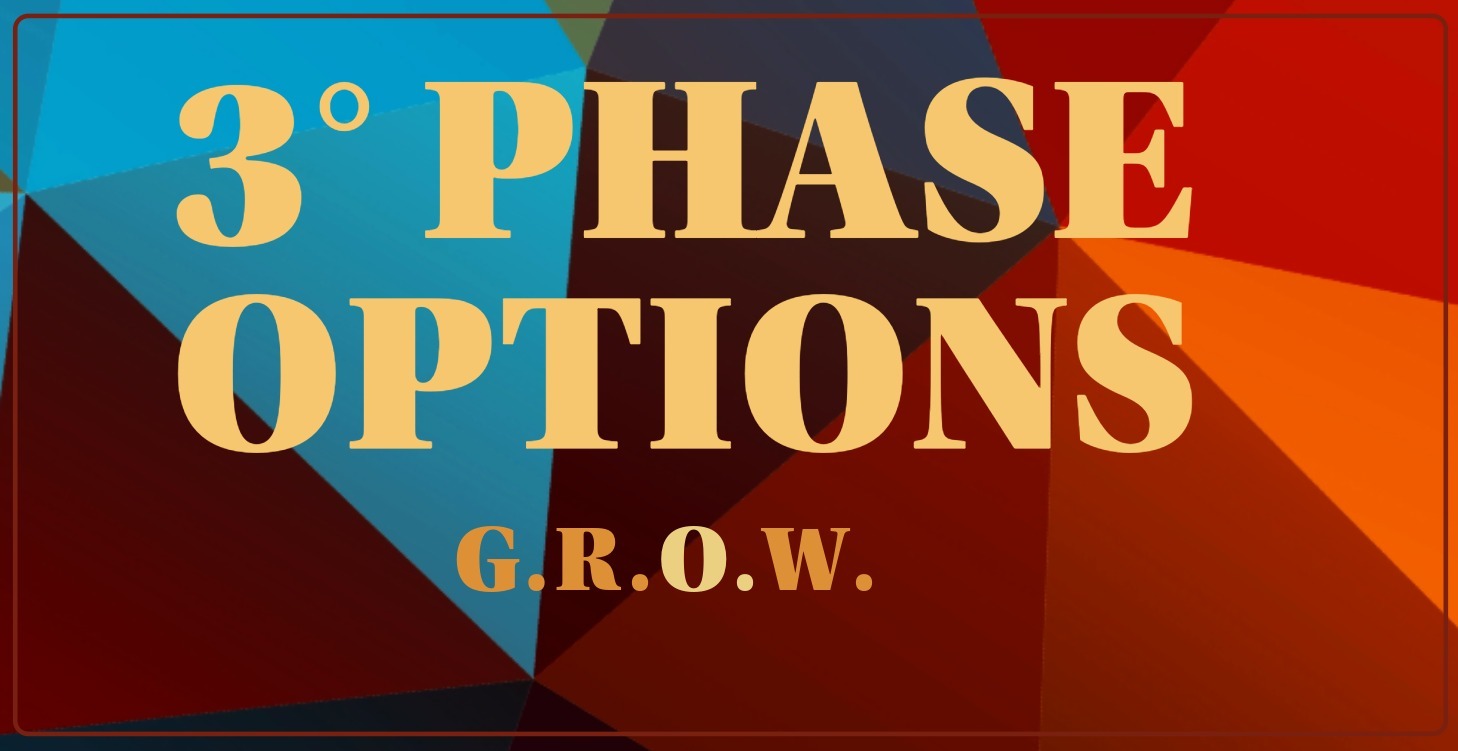 3° Phase: Strategy