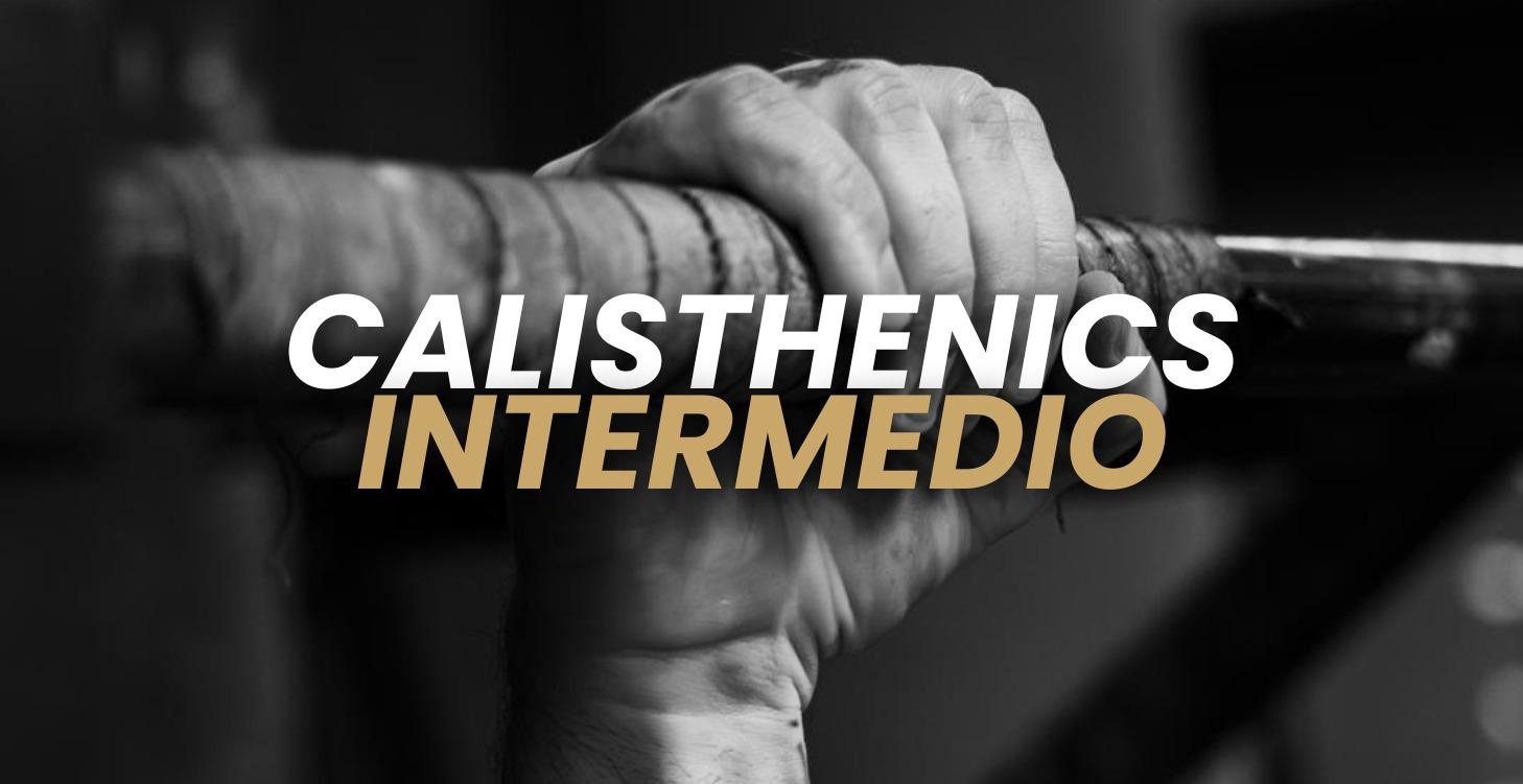 Calisthenics Intermedio 1 | 12 Week