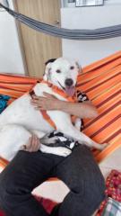 Natalia Wilches Obando