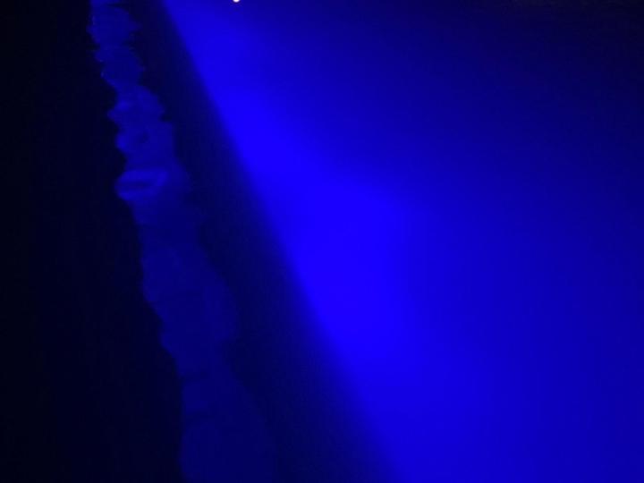 Antoine Garnier-Carrée