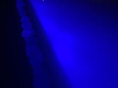 Antoine Garnier-Carrée