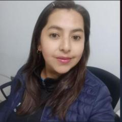 Liz Karoll Choque Carreño