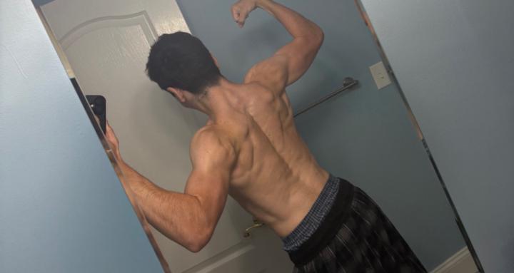 The Aesthetic Body Blueprint