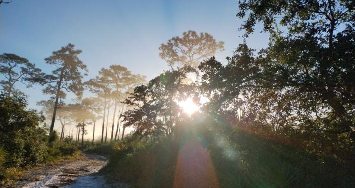 Awakened Pathways Sanctuary