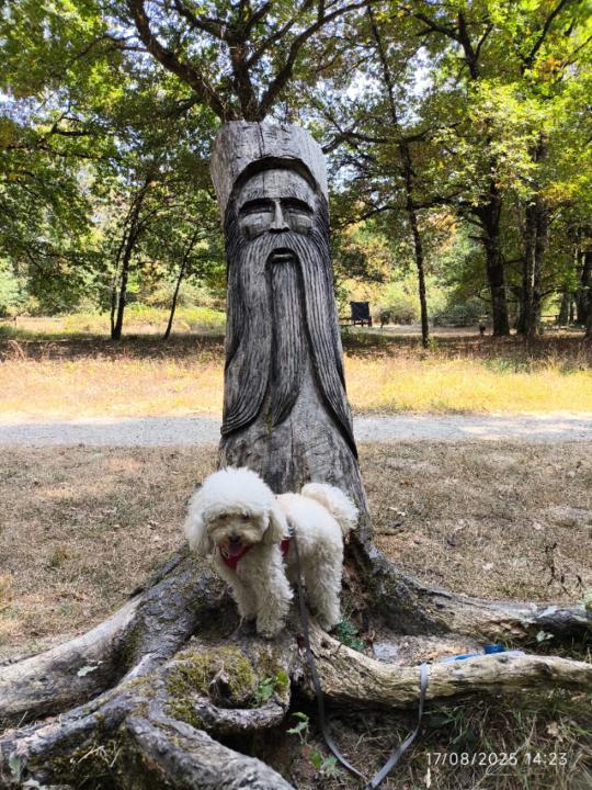 MªEugenia Urdiain Martinez