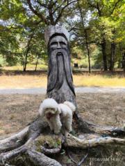 MªEugenia Urdiain Martinez