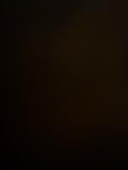 Valeriia Repina-Tutton