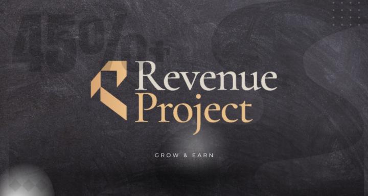 The Revenue Project