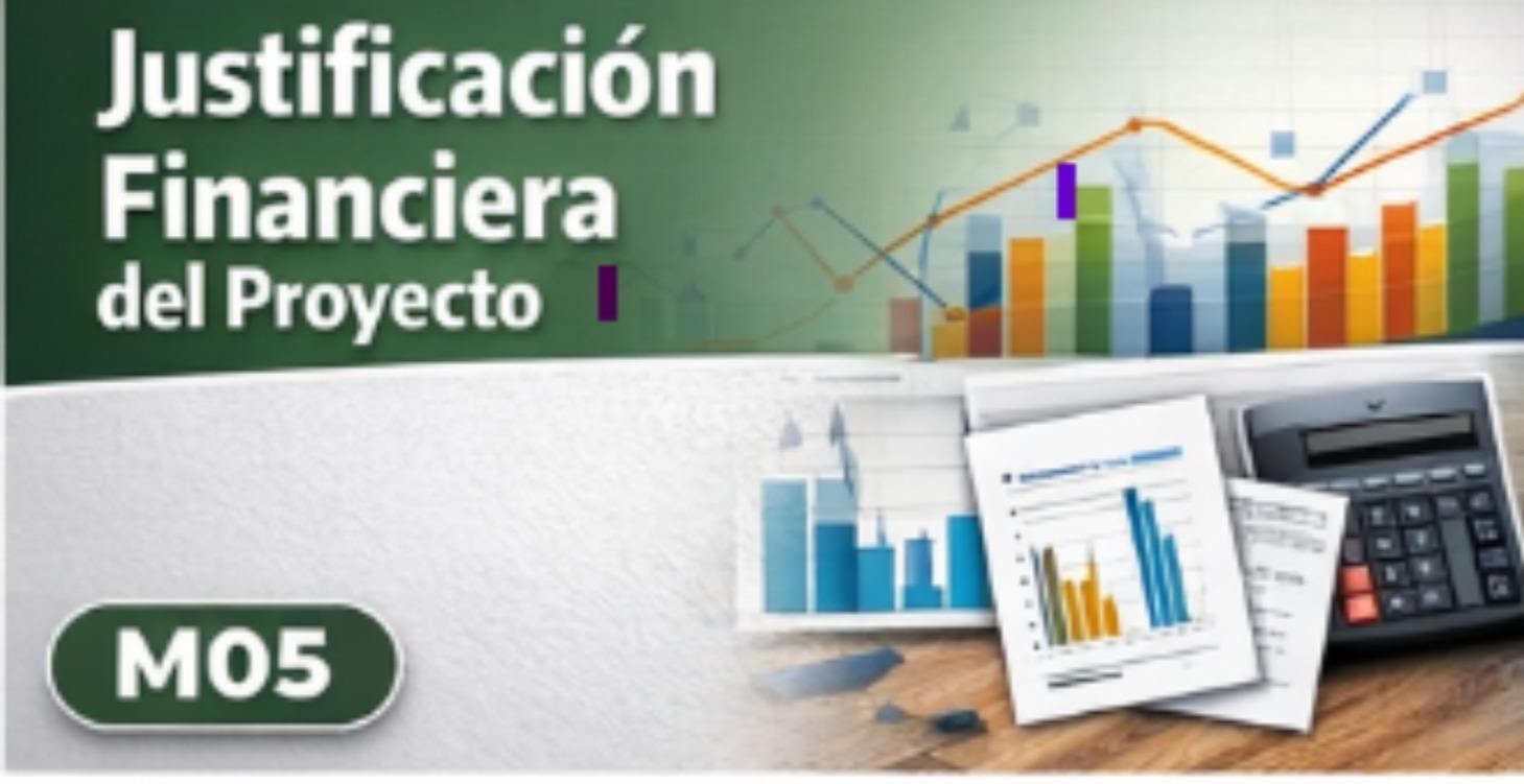 Financial Justification