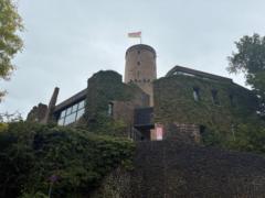 Alla Ramscheid