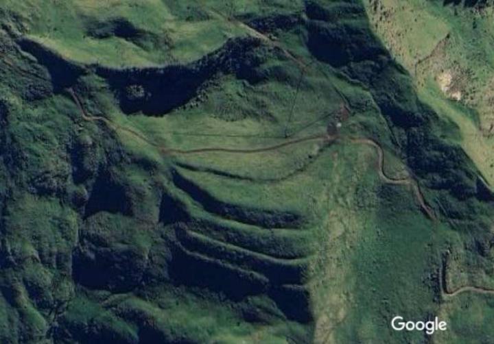 Stepp walls hidden in deep bush on edge if Lamuria 