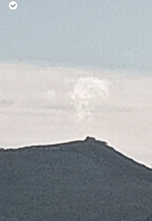  DR STEVEN GREER OR PAUL WALLIS ?