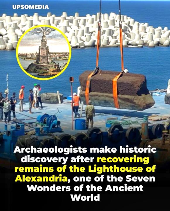 Alexandria 👁️ 