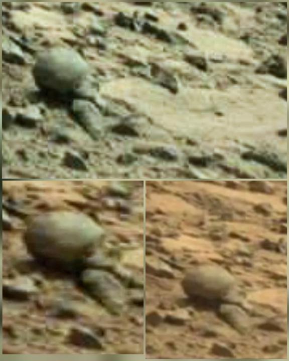 Alien corpse with bulbous head on Mars in NASA Curiosity rover photo