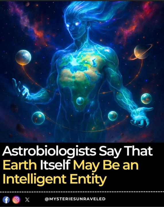 🌎 