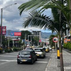 Eliseo Maleplate
