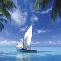 Stenio fernando Duarte