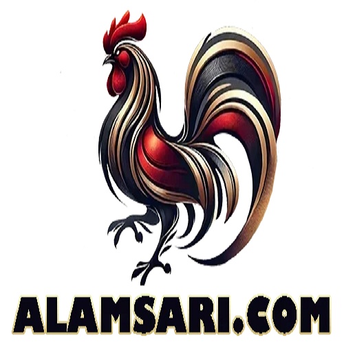 Đá gà trực Tiếp thomo run