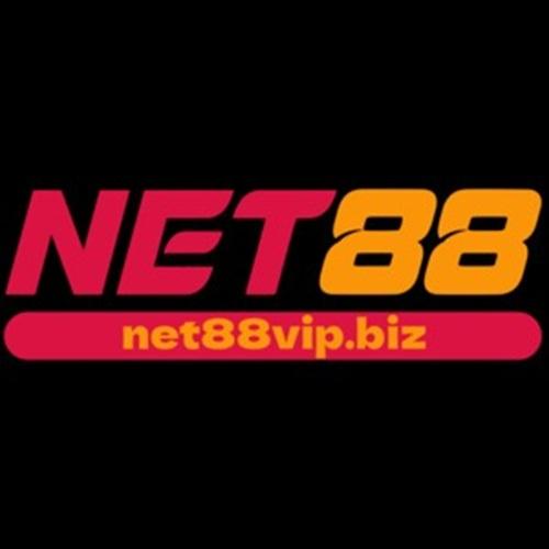 Net Vipbiz