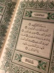 Hallah Alharbi