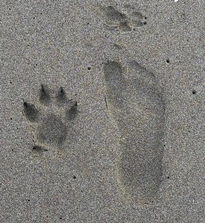 Javier Tomairo Agapito