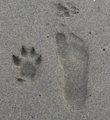 Javier Tomairo Agapito