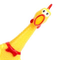 Maria Eduarda Lima Torres