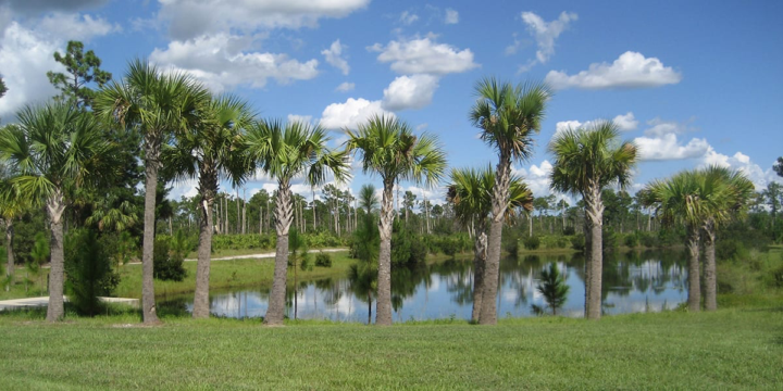 Hidden Gem of the Week!