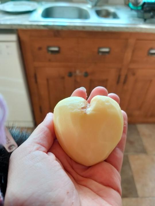 Chaymaa Belkharchouche