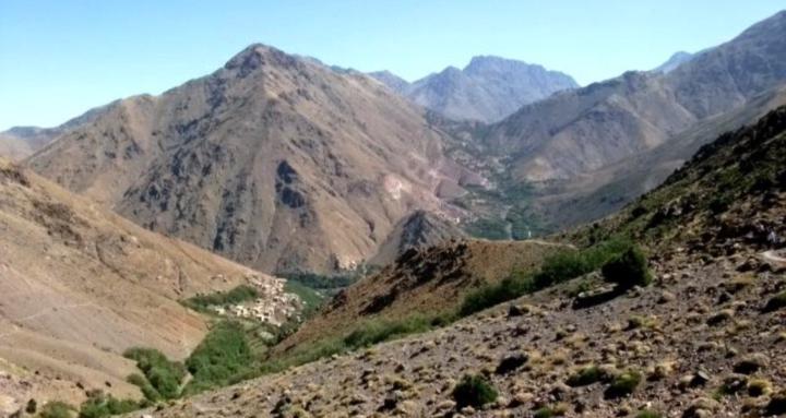 Life Vision Constructors