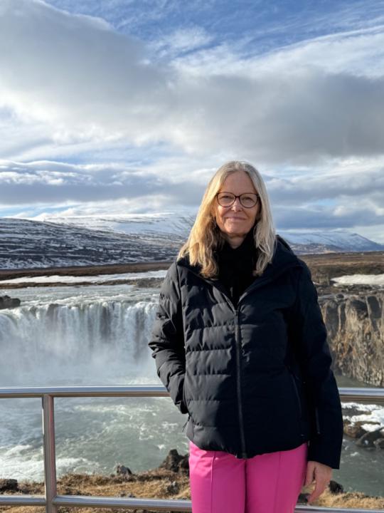 Ann Hedblom