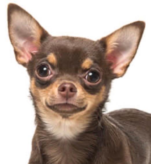 Veronica Aparicio Diaz