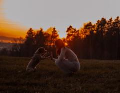 Liselotte Stoll
