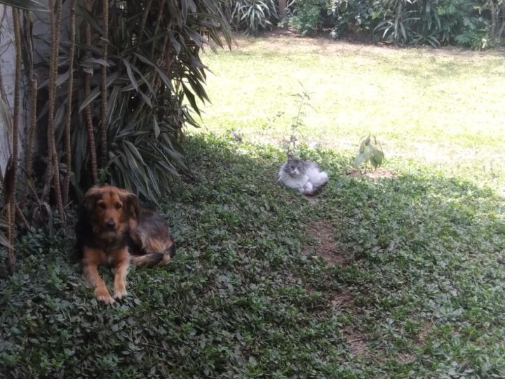 Luis Miguel Delgado Montoya