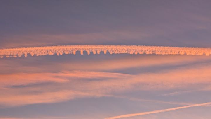 Hayley Toothill-Taylor