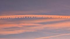 Hayley Toothill-Taylor