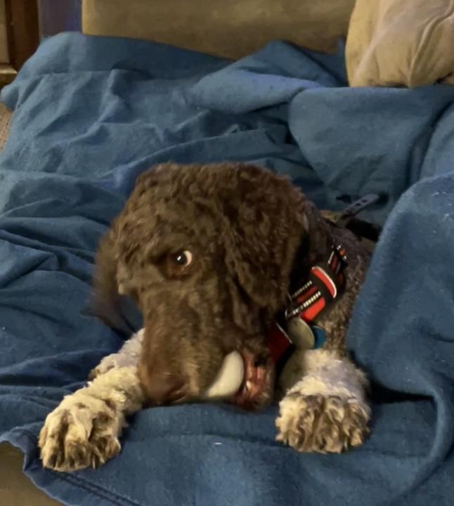 Listen up please  ‼️ 