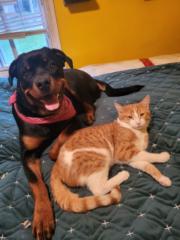 Marie France Esposito