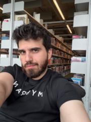 Efe Sari