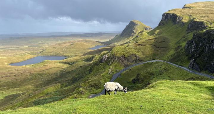 Power of Belief: Practitioners