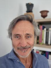 Carlos Ruiz-Castillo