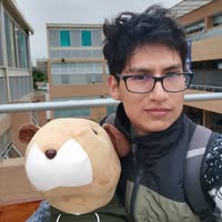 Johannes Torres Tapia